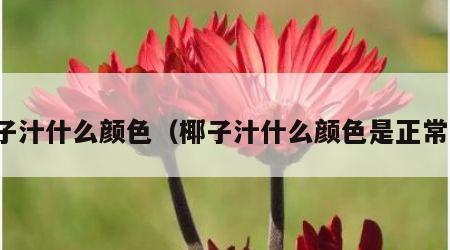 椰子汁什么颜色（椰子汁什么颜色是正常的）