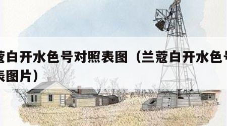 兰蔻白开水色号对照表图（兰蔻白开水色号对照表图片）