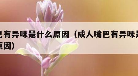 嘴巴有异味是什么原因（成人嘴巴有异味是什么原因）