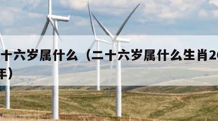 二十六岁属什么（二十六岁属什么生肖2020年）
