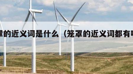 笼罩的近义词是什么（笼罩的近义词都有哪些）