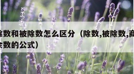 除数和被除数怎么区分（除数,被除数,商,余数的公式）