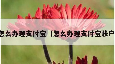 怎么办理支付宝（怎么办理支付宝账户）