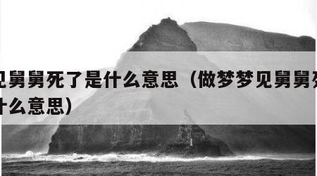梦见舅舅死了是什么意思（做梦梦见舅舅死了是什么意思）