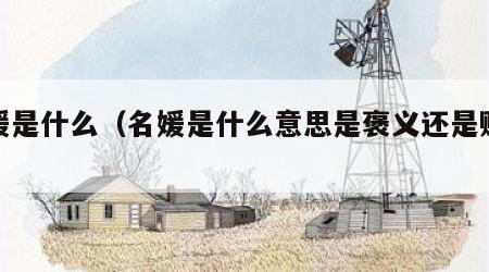 名媛是什么（名媛是什么意思是褒义还是贬义）