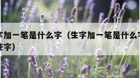 生字加一笔是什么字（生字加一笔是什么字有哪些字）