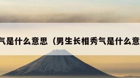 秀气是什么意思（男生长相秀气是什么意思）