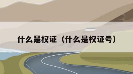什么是权证（什么是权证号）
