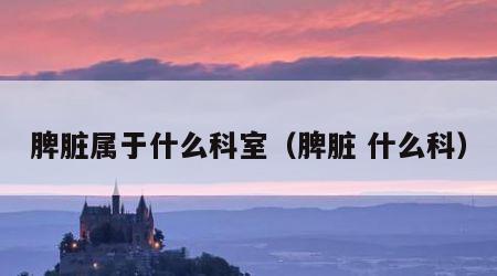 脾脏属于什么科室（脾脏 什么科）