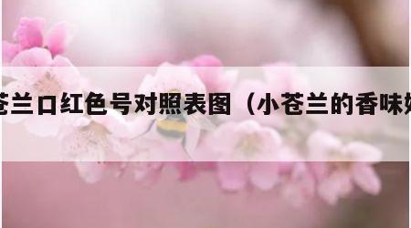 小苍兰口红色号对照表图（小苍兰的香味好闻吗）