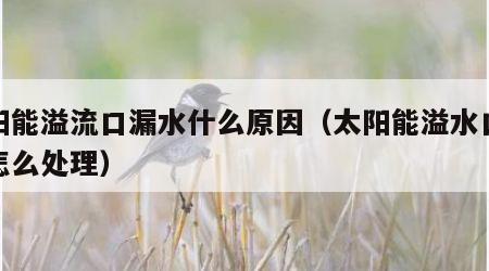 太阳能溢流口漏水什么原因（太阳能溢水口漏水怎么处理）