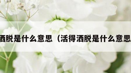 洒脱是什么意思（活得洒脱是什么意思）