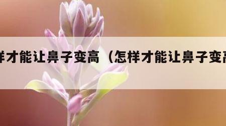 怎样才能让鼻子变高（怎样才能让鼻子变高一点）