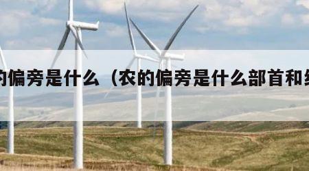 农的偏旁是什么（农的偏旁是什么部首和结构）