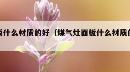 面板什么材质的好（煤气灶面板什么材质的好）
