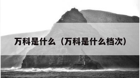 万科是什么（万科是什么档次）