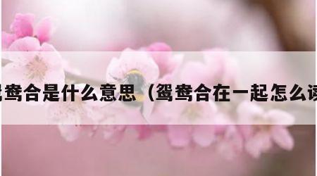 鸳鸯合是什么意思（鸳鸯合在一起怎么读）