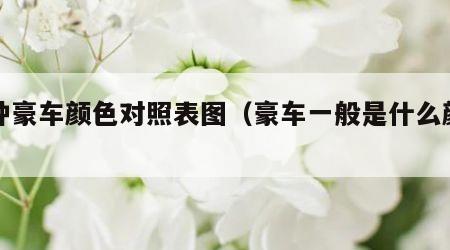 各种豪车颜色对照表图（豪车一般是什么颜色）