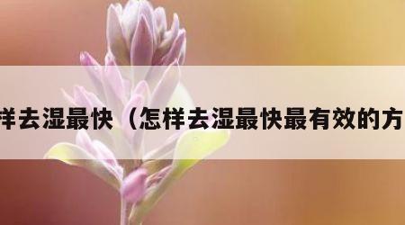 怎样去湿最快（怎样去湿最快最有效的方法）