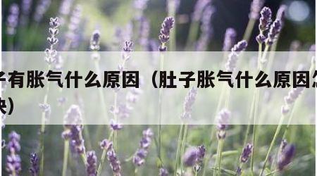 肚子有胀气什么原因（肚子胀气什么原因怎么解决）