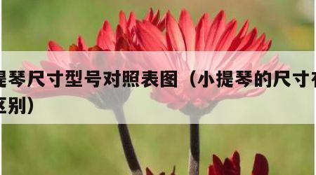 小提琴尺寸型号对照表图（小提琴的尺寸有什么区别）