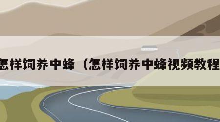 怎样饲养中蜂（怎样饲养中蜂视频教程）
