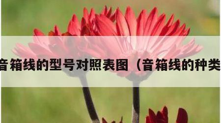 音箱线的型号对照表图（音箱线的种类）