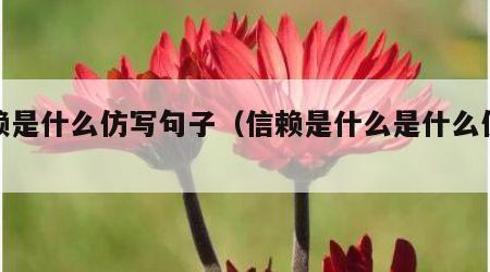 信赖是什么仿写句子（信赖是什么是什么仿写）