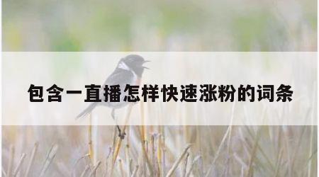 包含一直播怎样快速涨粉的词条
