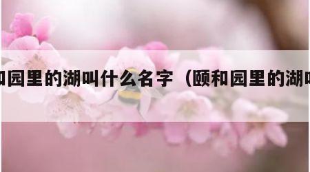 颐和园里的湖叫什么名字（颐和园里的湖叫啥）