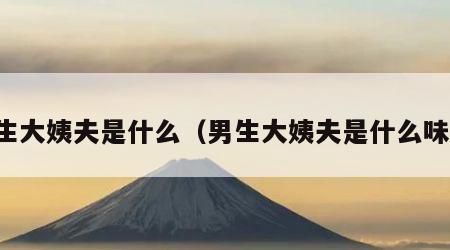 男生大姨夫是什么（男生大姨夫是什么味道）