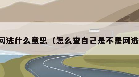 网逃什么意思（怎么查自己是不是网逃）