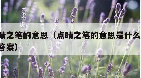 点睛之笔的意思（点睛之笔的意思是什么 标准答案）