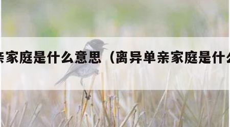 单亲家庭是什么意思（离异单亲家庭是什么意思）