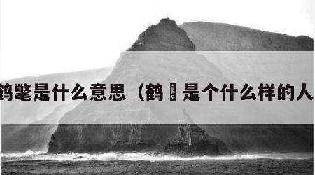 鹤氅是什么意思（鹤翾是个什么样的人）