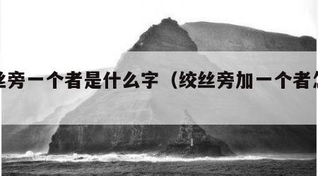 绞丝旁一个者是什么字（绞丝旁加一个者怎么读）