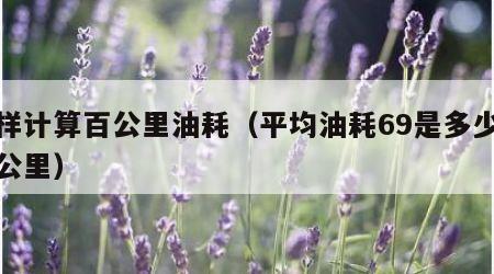 怎样计算百公里油耗（平均油耗69是多少钱一公里）