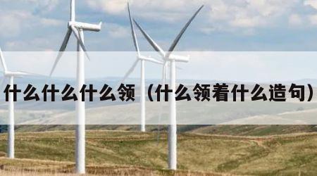 什么什么什么领（什么领着什么造句）
