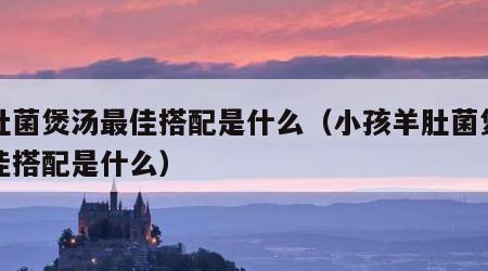 羊肚菌煲汤最佳搭配是什么（小孩羊肚菌煲汤最佳搭配是什么）