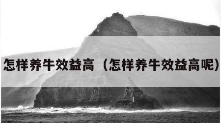 怎样养牛效益高（怎样养牛效益高呢）