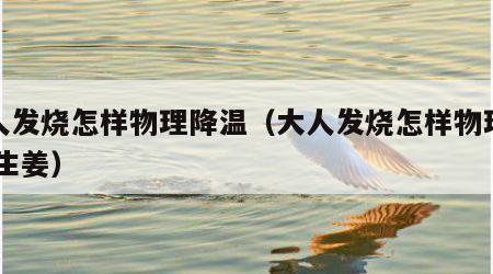 大人发烧怎样物理降温（大人发烧怎样物理降温,生姜）