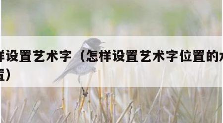 怎样设置艺术字（怎样设置艺术字位置的水平位置）