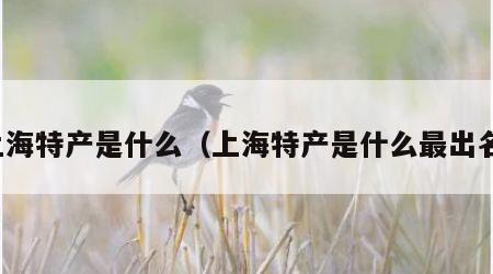 上海特产是什么（上海特产是什么最出名）