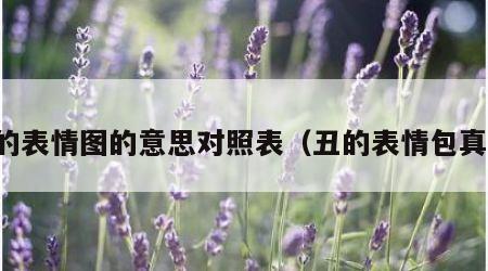 丑的表情图的意思对照表（丑的表情包真人）