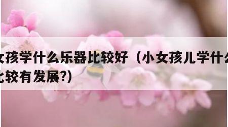 小女孩学什么乐器比较好（小女孩儿学什么乐器比较有发展?）