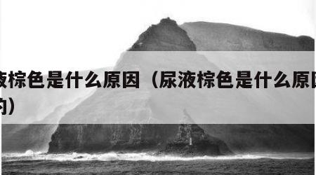 尿液棕色是什么原因（尿液棕色是什么原因造成的）