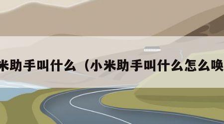 小米助手叫什么（小米助手叫什么怎么唤醒）