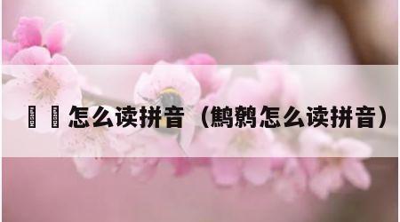 嫪毐怎么读拼音（鹪鹩怎么读拼音）