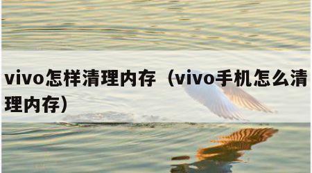 vivo怎样清理内存（vivo手机怎么清理内存）