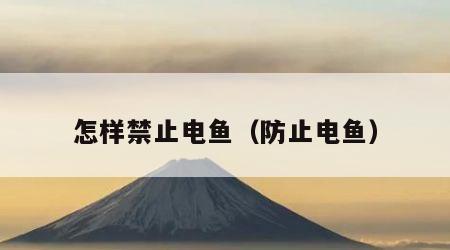 怎样禁止电鱼（防止电鱼）